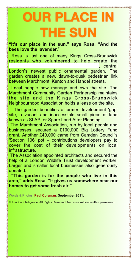 OUR PLACE IN THE SUN
“It’s our place in the sun,” says Rosa. “And the bees love the lavender.”
 Rosa is just one of many Kings Cross-Brunswick residents who volunteered to help create the Marchmont Street Community Garden, central London’s newest public ornamental garden. The garden creates a new, dawn-to-dusk pedestrian link between Marchmont, Kenton and Handel streets.
 Local people now manage and own the site. The Marchmont Community Garden Partnership maintains the site and the Kings Cross-Brunswick Neighbourhood Association holds a lease on the site. 
  The garden beautifies a former development ‘gap’ site, a vacant and inaccessible small piece of land known as SLAP, or Spare Land After Planning. 
 The Marchmont Association, run by local people and businesses, secured a £100,000 Big Lottery Fund grant. Another £40,000 came from Camden Council's 'Section 106' pot – contributions developers pay to cover the cost of their developments on local infrastructure. 
 The Association appointed architects and secured the help of a London Wildlife Trust development worker. Larger and smaller local businesses also generously donated.
 “This garden is for the people who live in this area," adds Rosa. "It gives us somewhere near our homes to get some fresh air."

Words & Photos: Paul Coleman, September 2011.

© London Intelligence. All Rights Reserved. No reuse without written permission.
